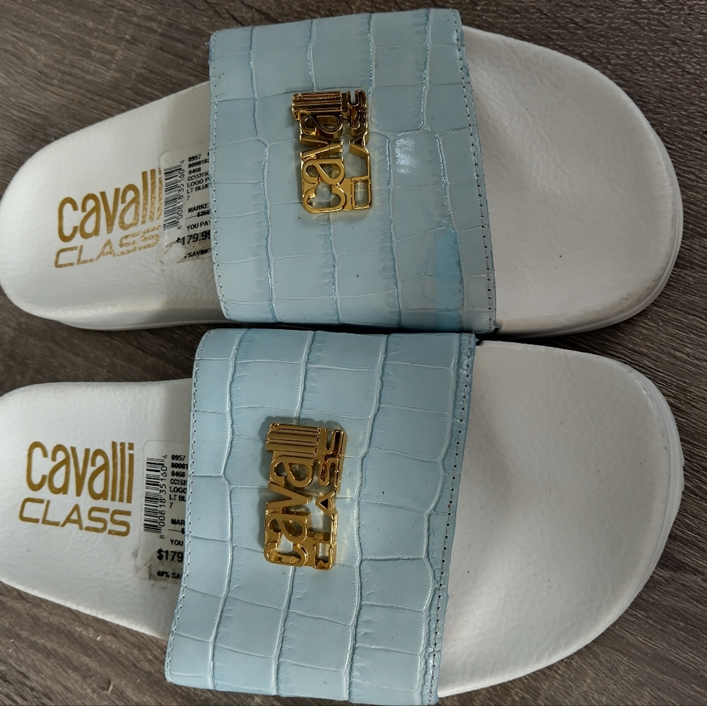 Cavalli class size 6